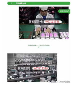 揭秘“香港組裝蘋果手機”代理背后的暴利與風(fēng)險 科技廣告下的真相